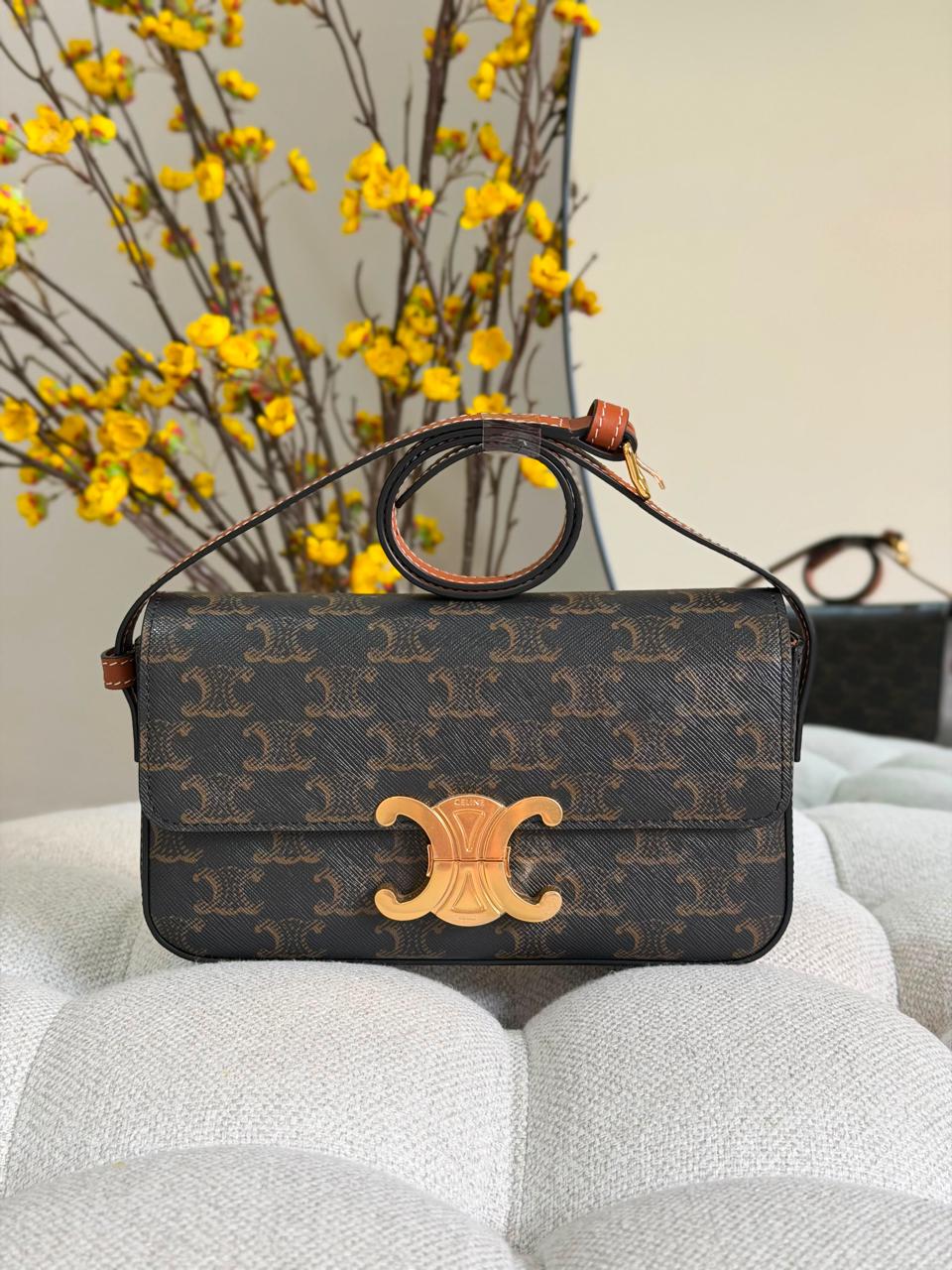 Ladies Celine bags