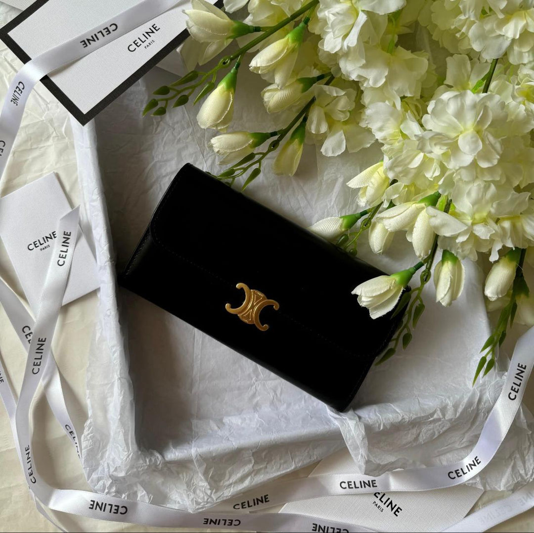 Ladies Celine bags