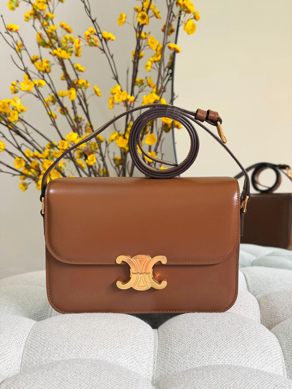 Ladies Celine bags