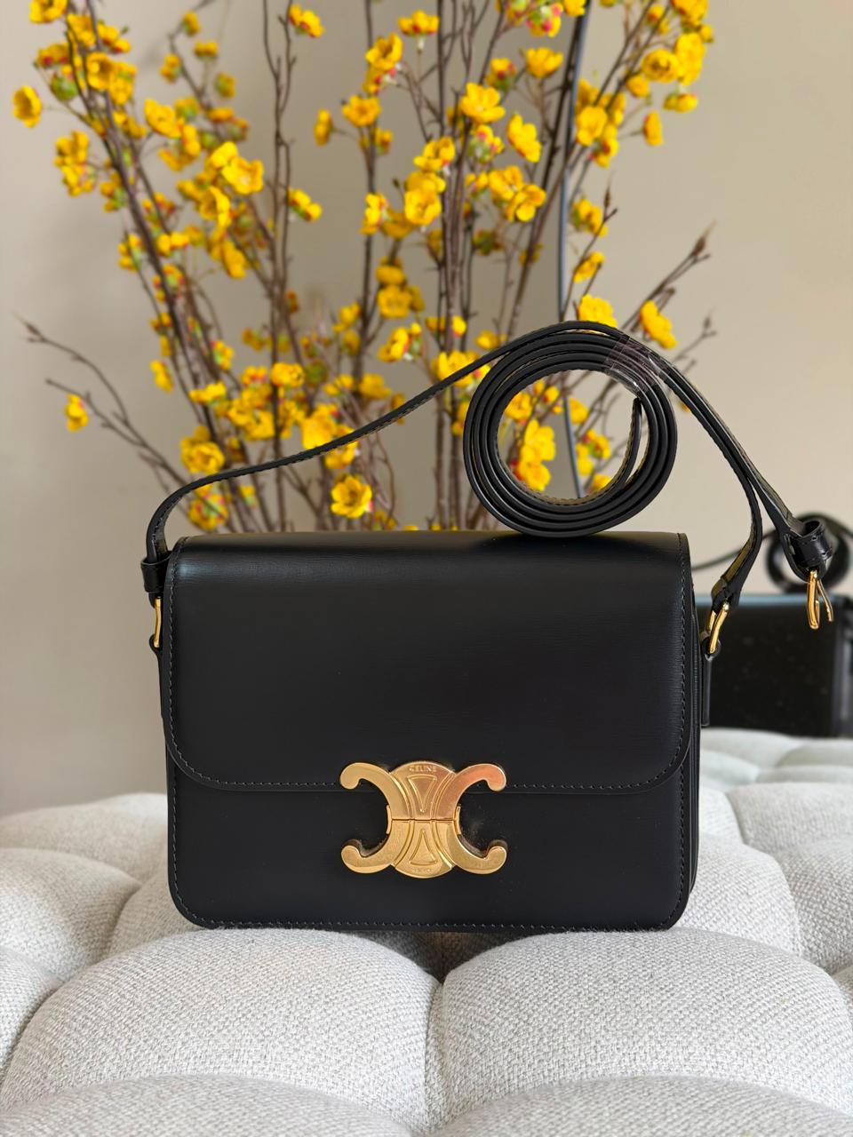 Ladies Celine bags