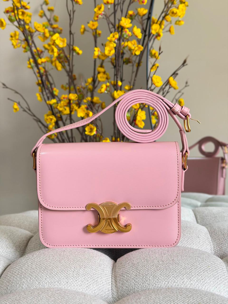 Ladies Celine bags