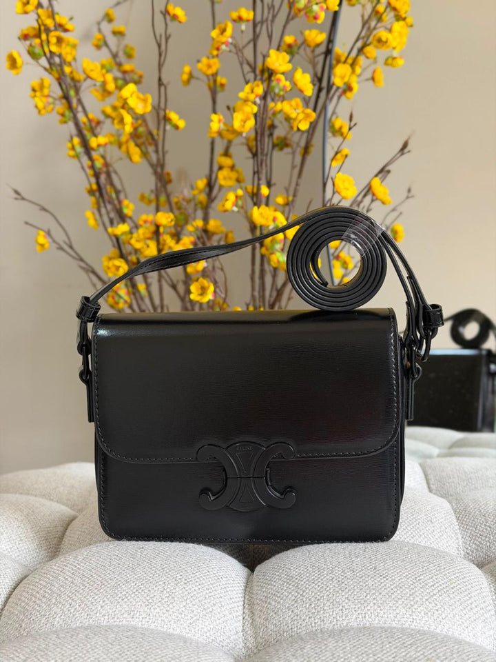 Ladies Celine bags