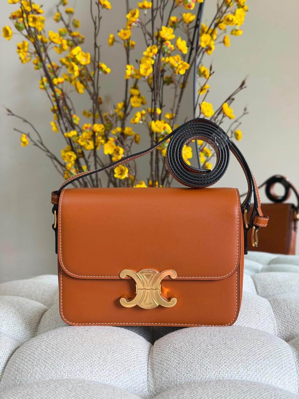 Ladies Celine bags
