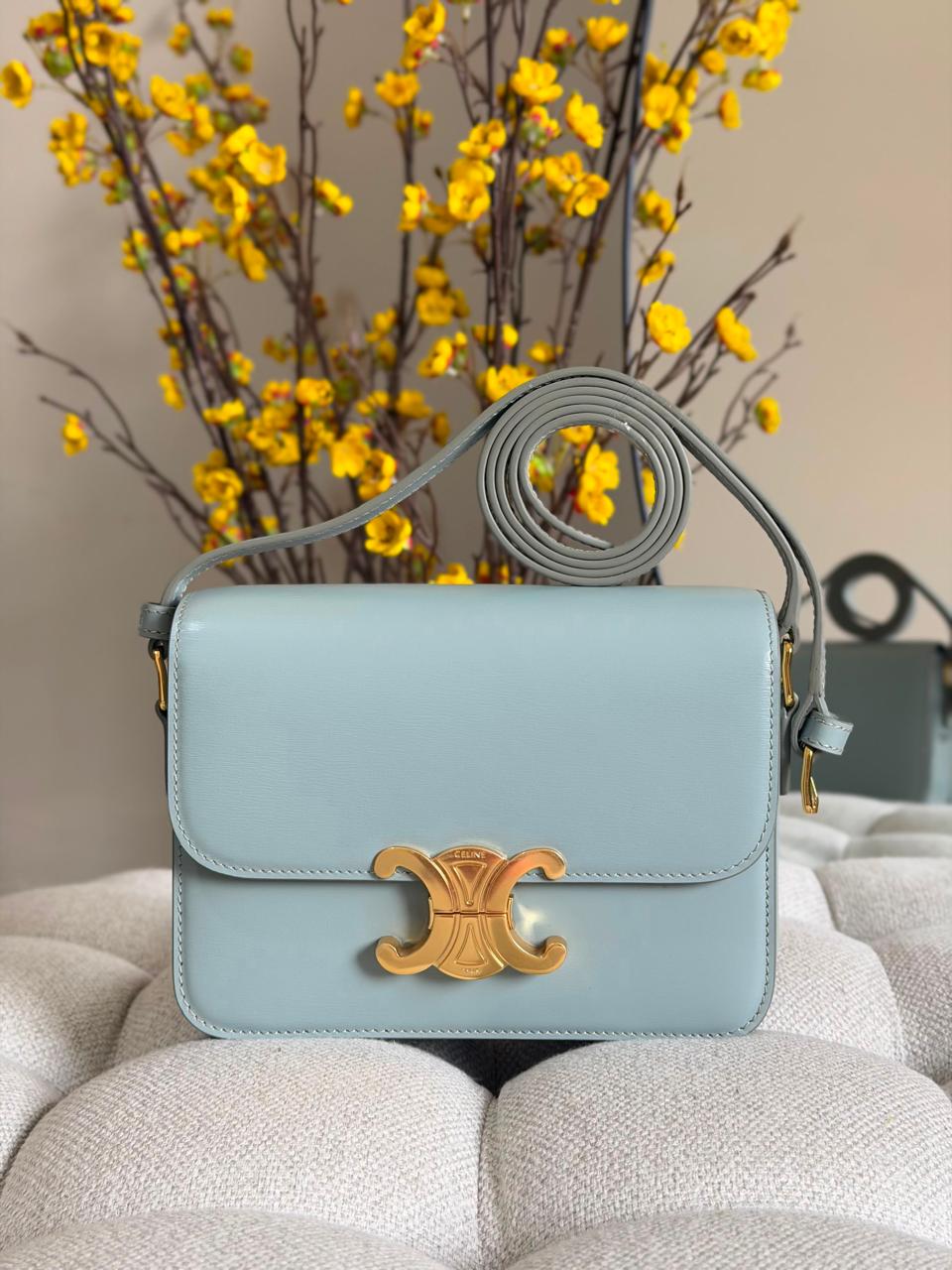 Ladies Celine bags