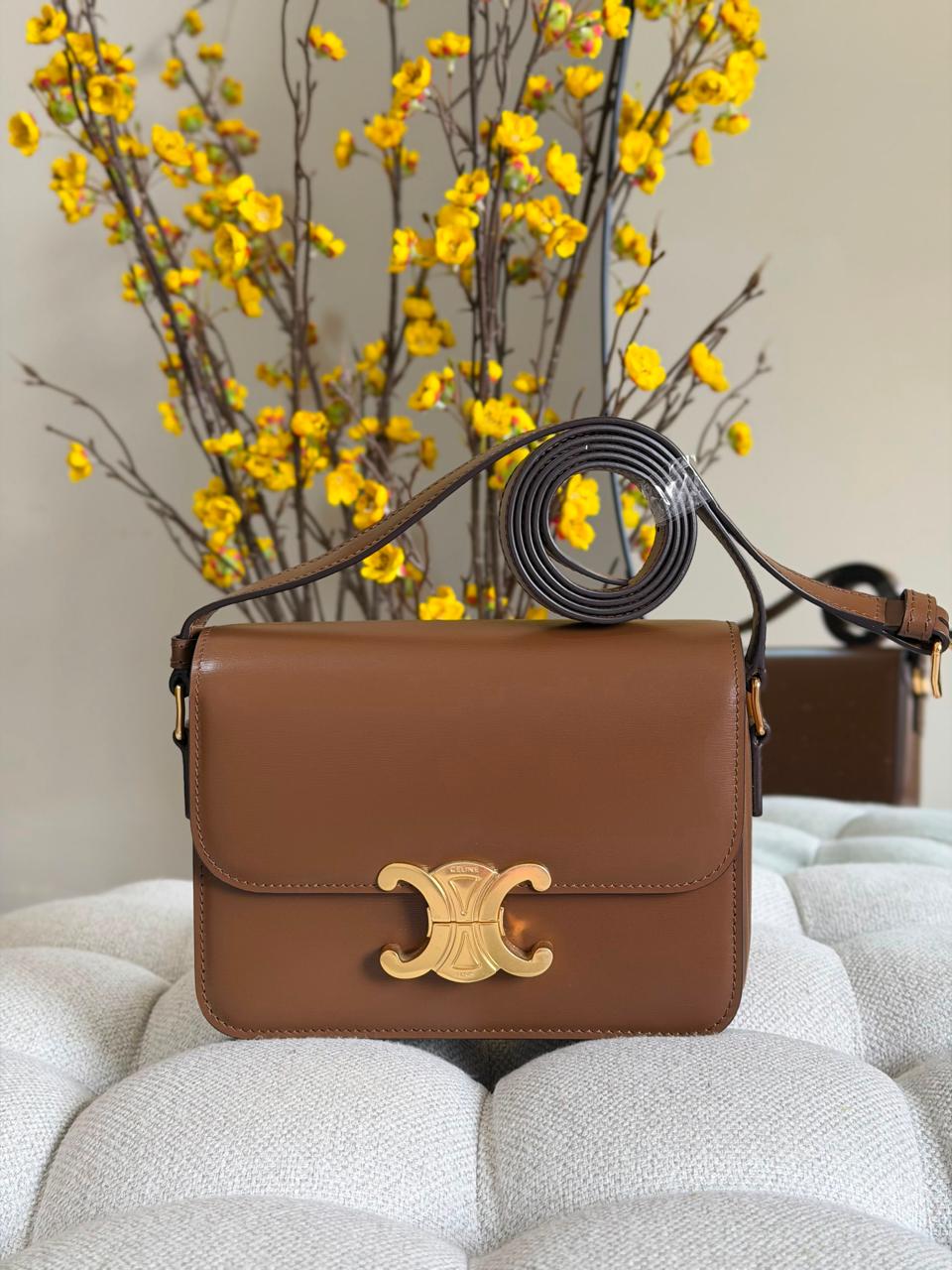 Ladies Celine bags